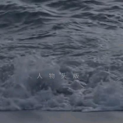 白茶清欢
