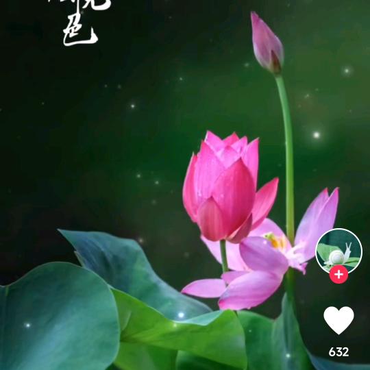 星火香业