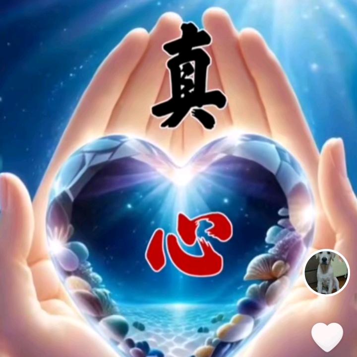 韩薇，《拒绝私聊》