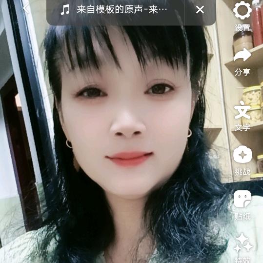 雁儿在林梢