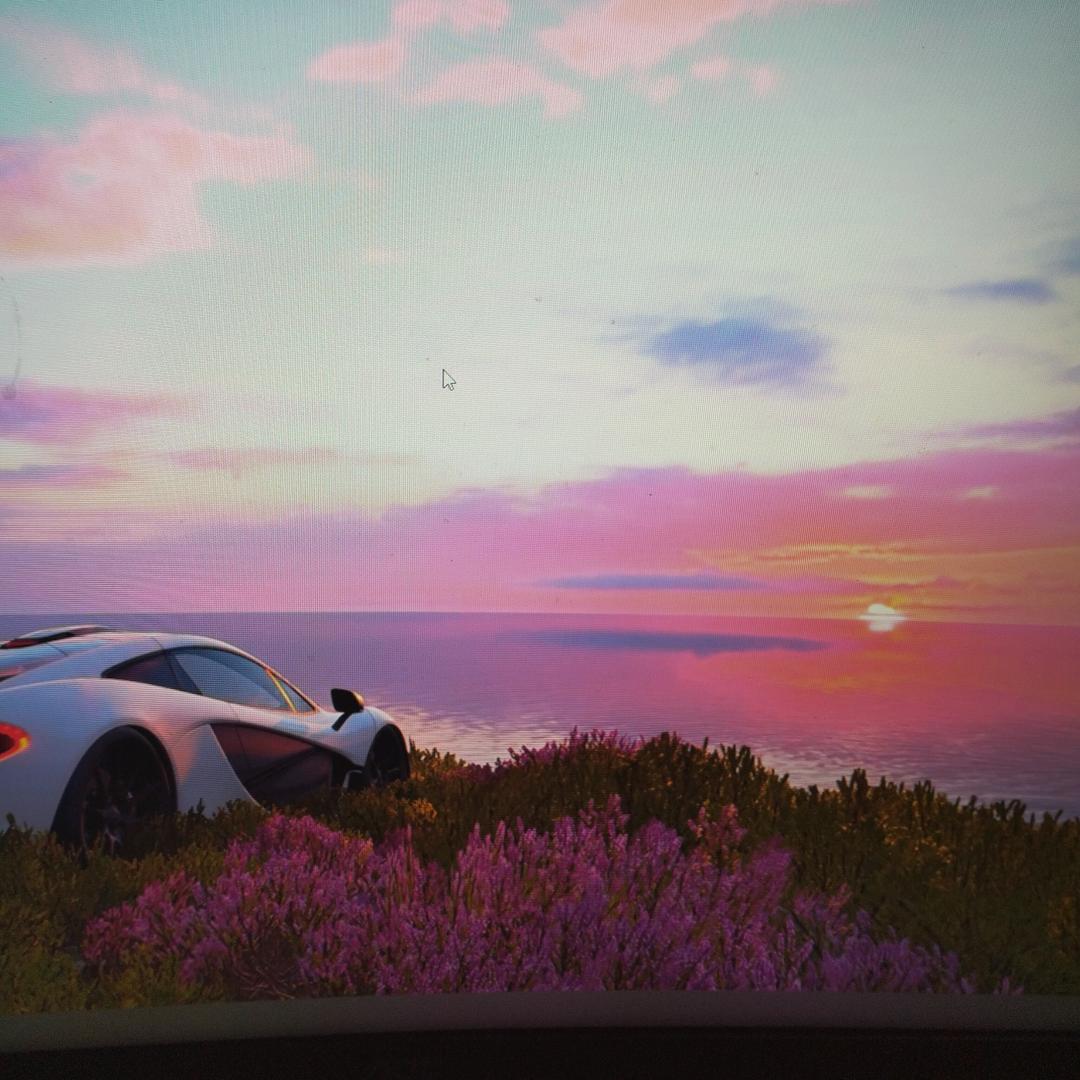 爱摸鱼的小虾米