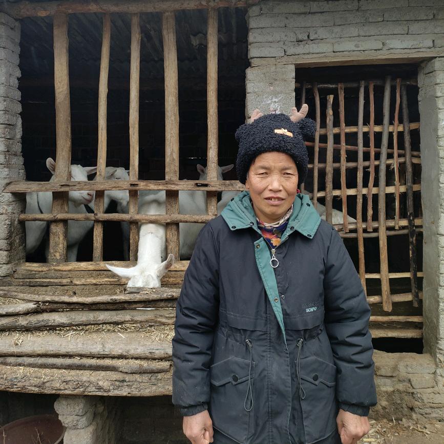 肓人芹姐晚7点20开播