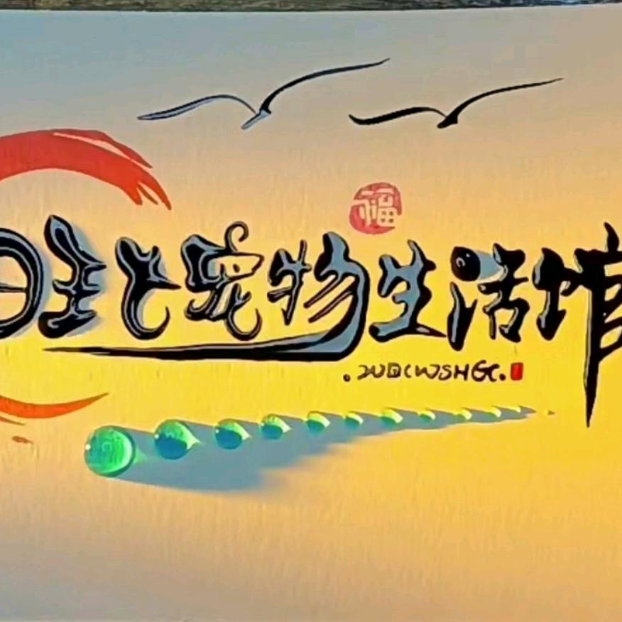 旺七宠物生活馆铁西店