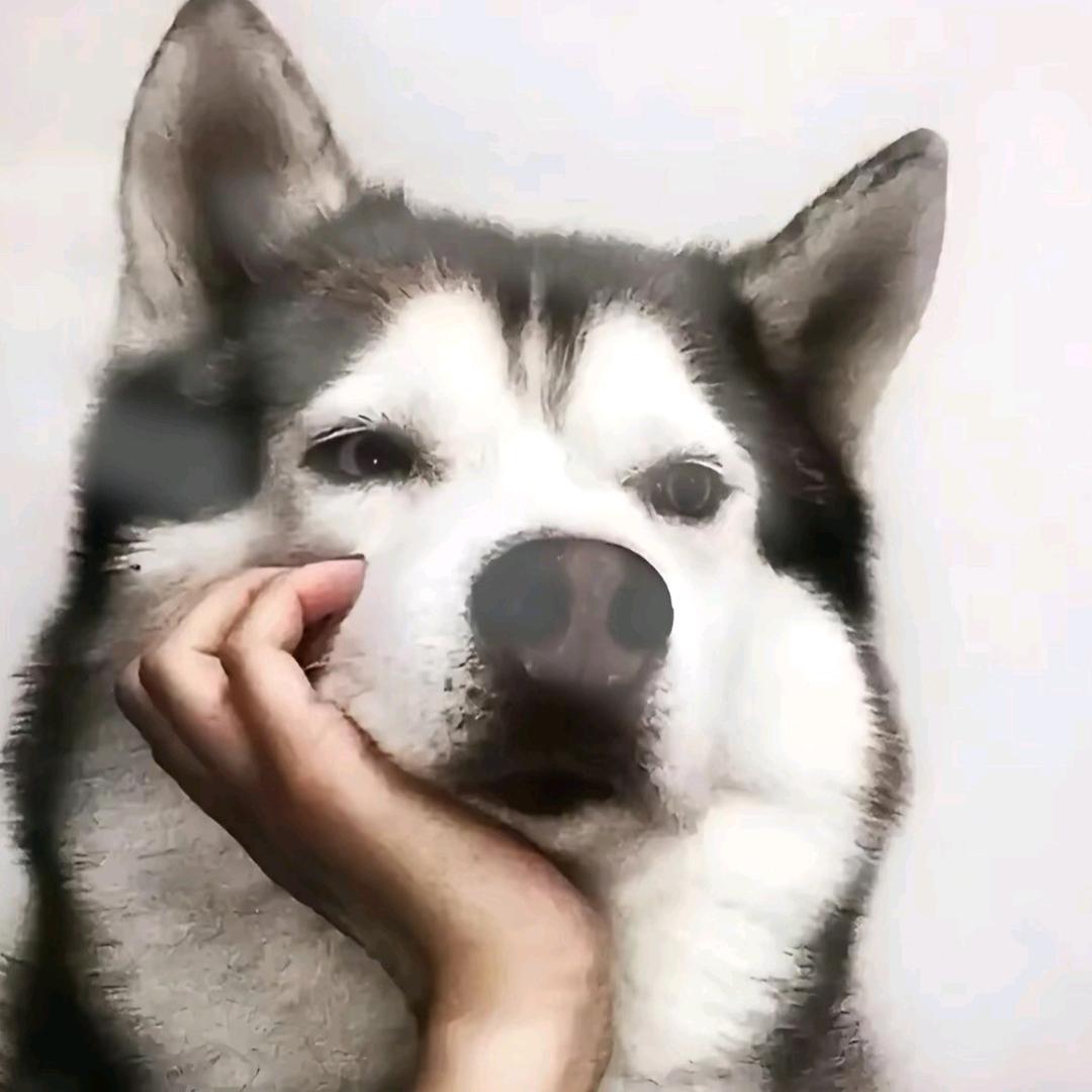 秋水玥星河