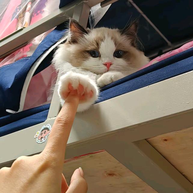 一杯西瓜汁儿🍉