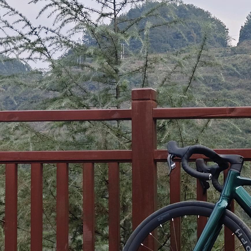 而李🚲
