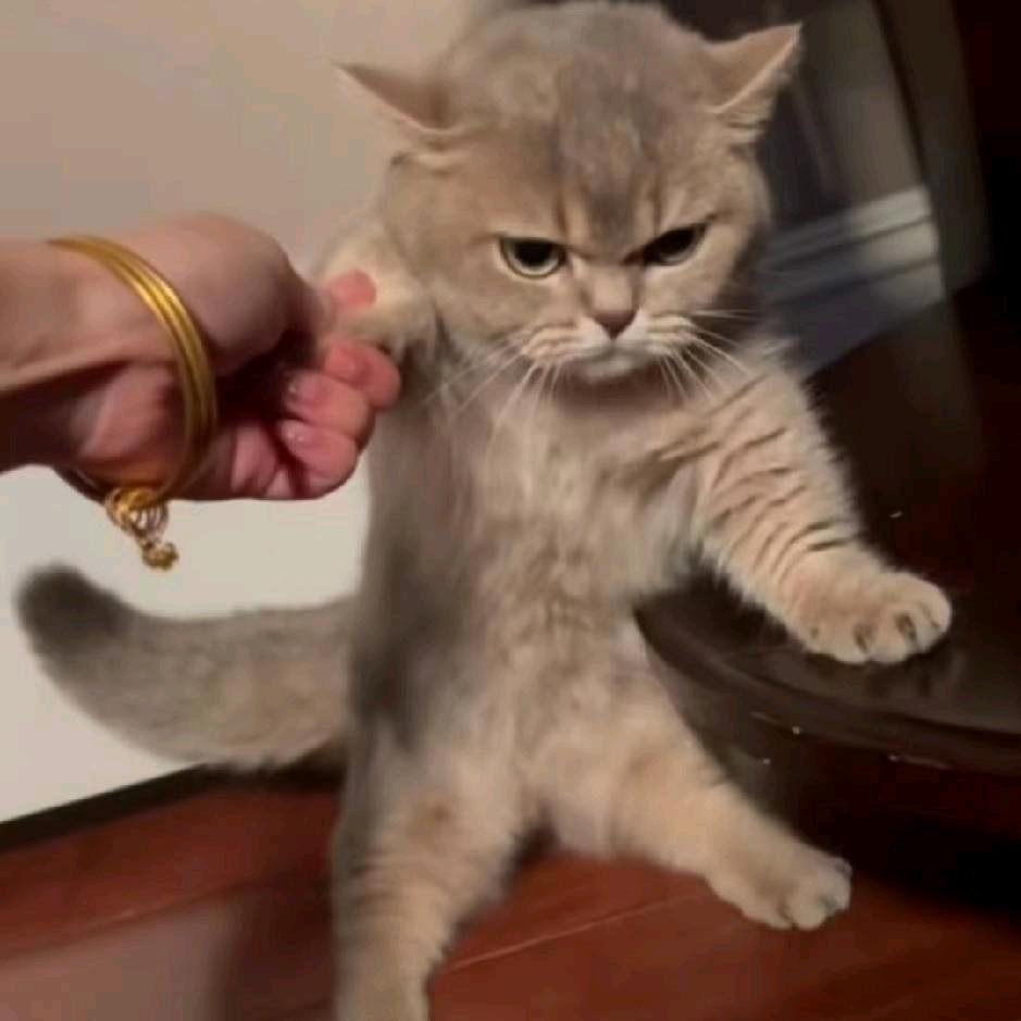 ˇ