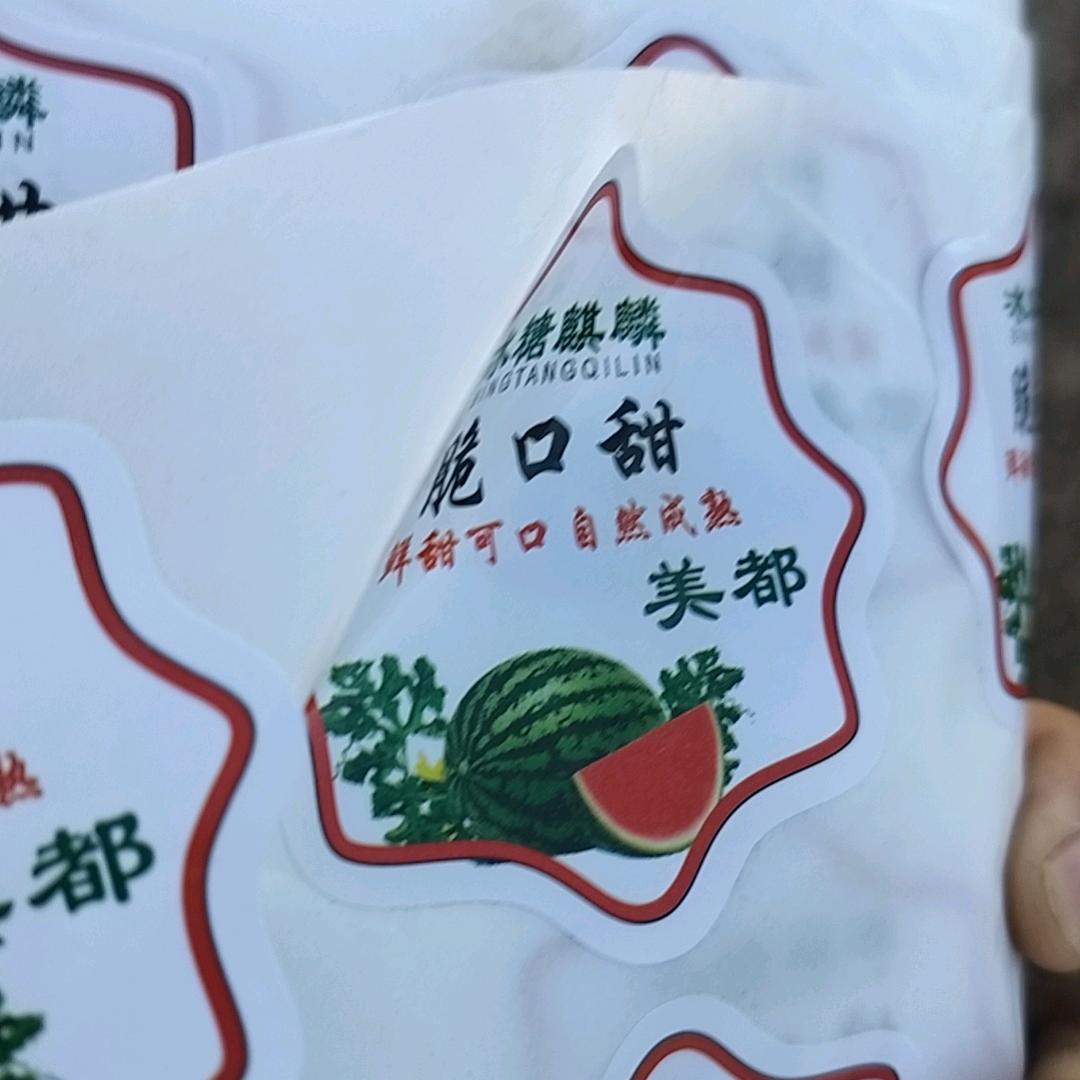 人生(づ ●─● )づ百味(づ ●─●