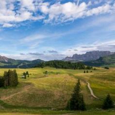 利河伯文化传媒