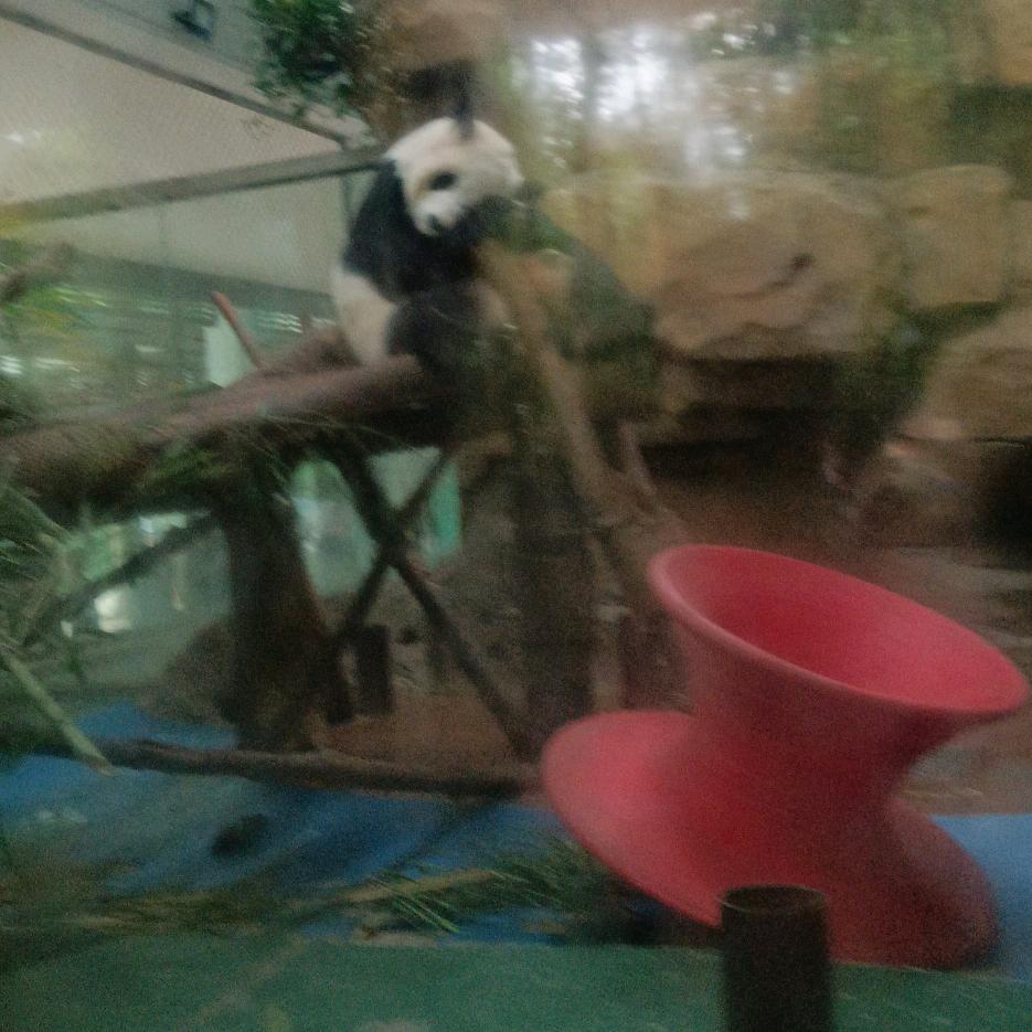 用户61068334