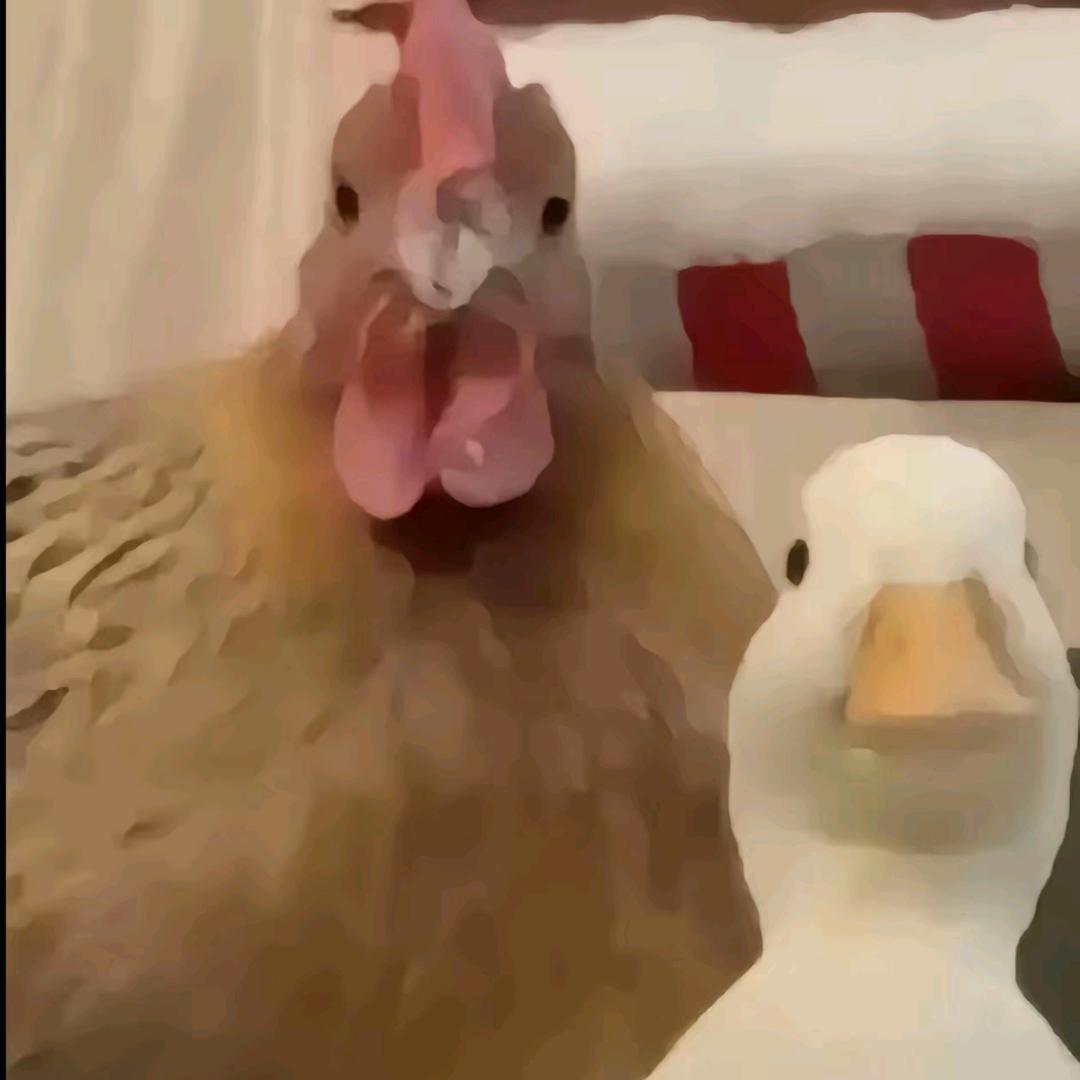 赖胖子肉蟹煲(合浦商业中心店)