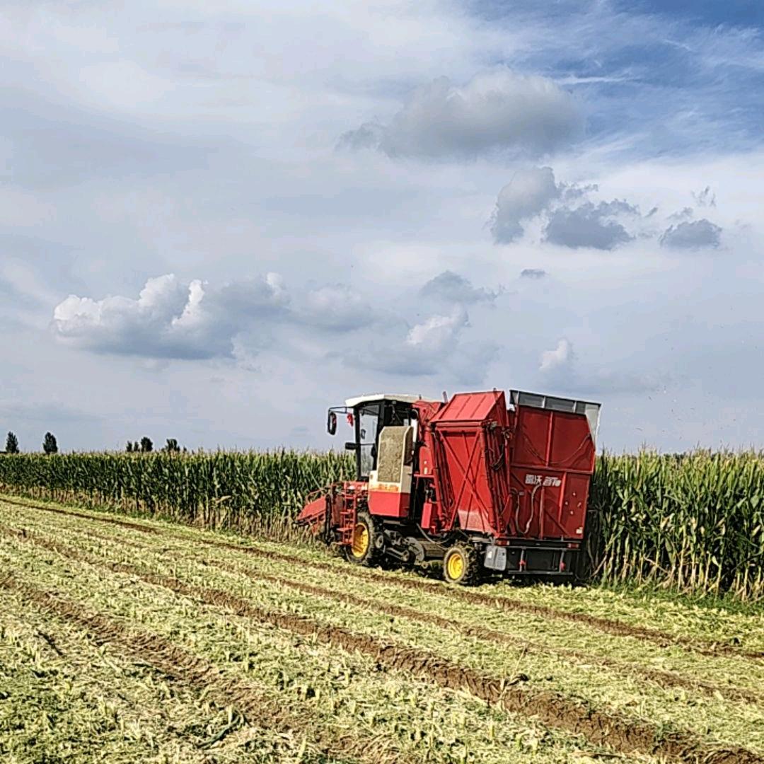瑞涵挖掘机工程机械带破碎锤（玉米收割）