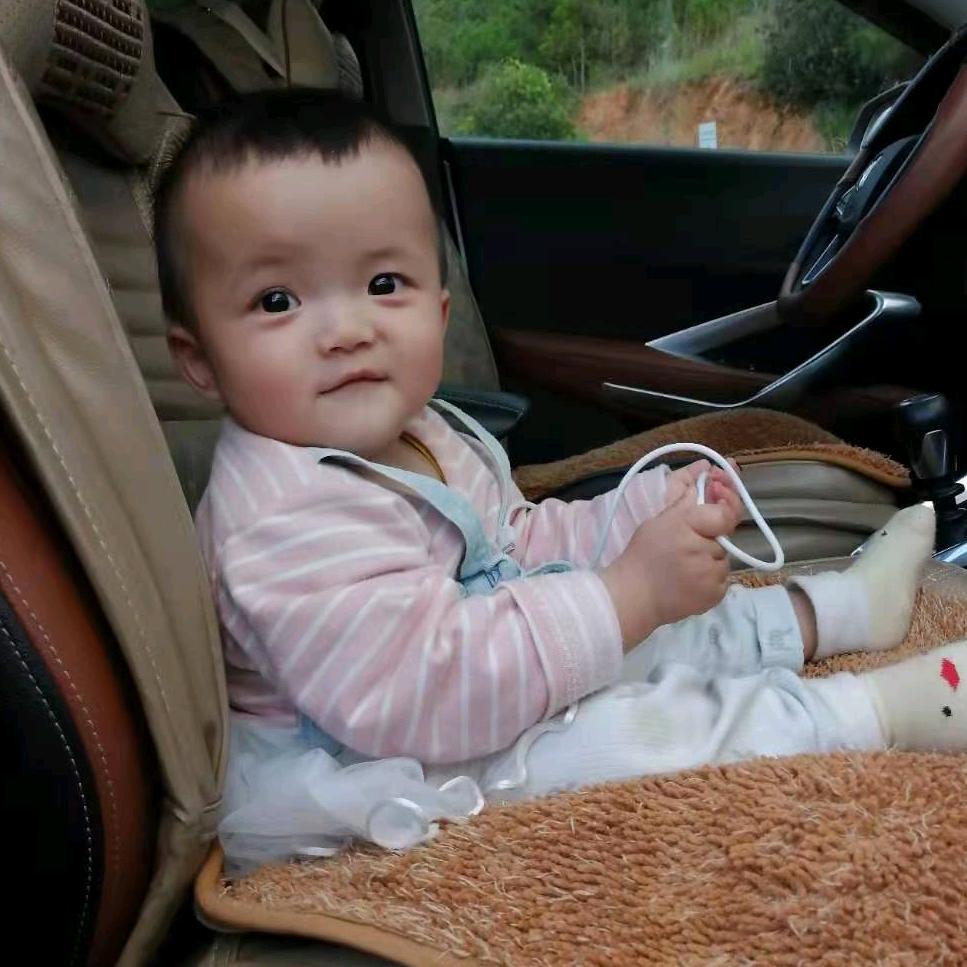 鼠宝熠熠成长记