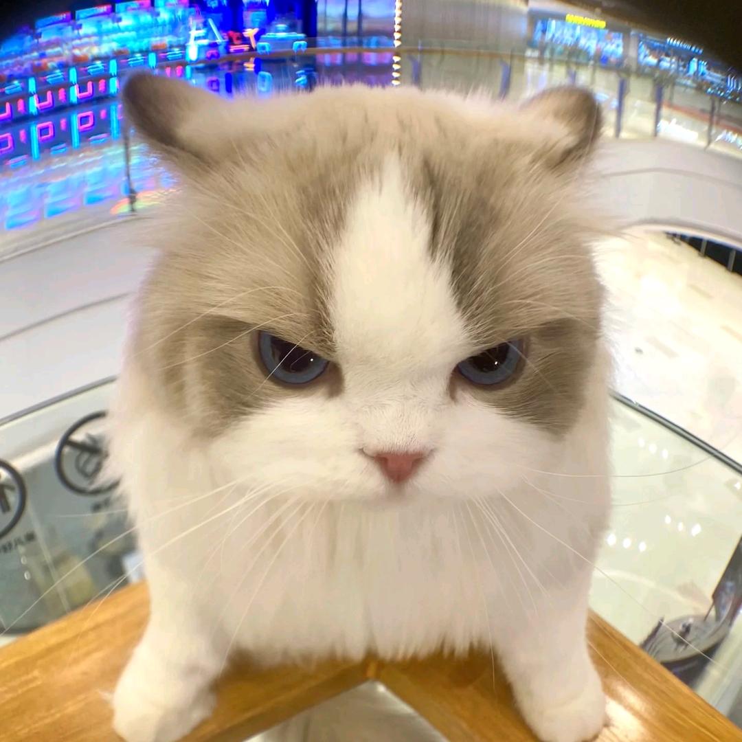 将大局逆转吧！