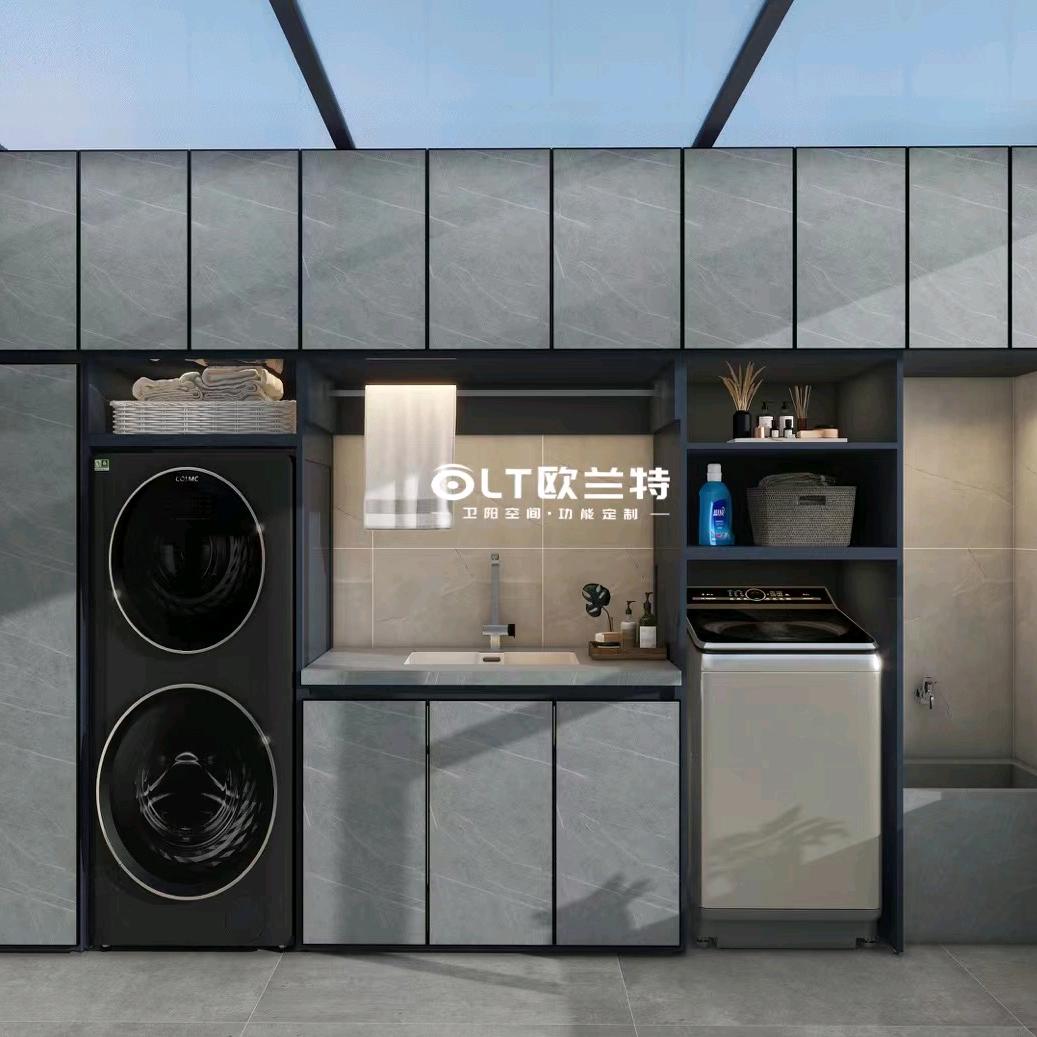毕节-专业洗衣柜定制