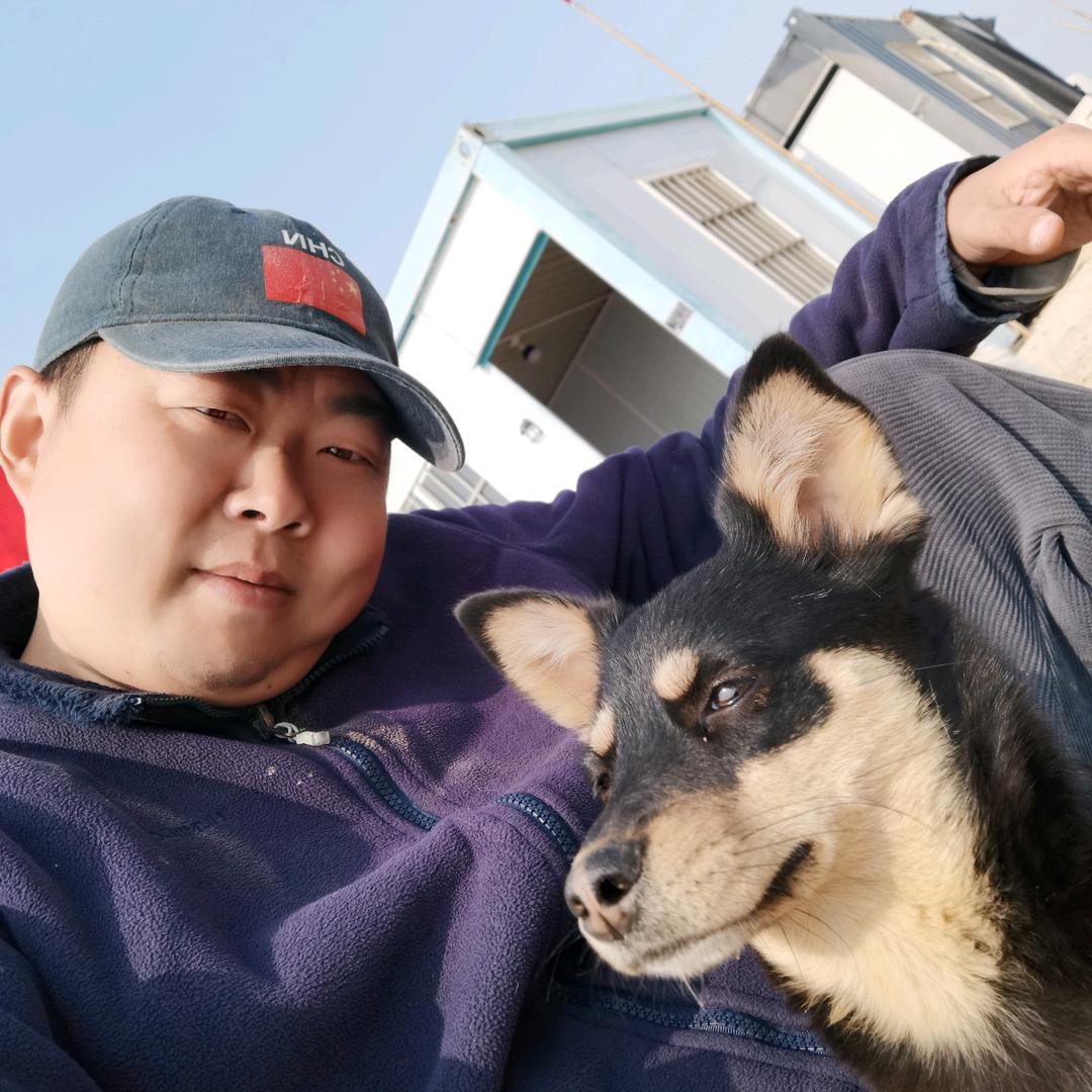 老狗与海