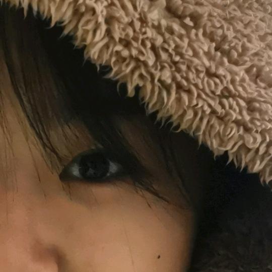 阳羊羊