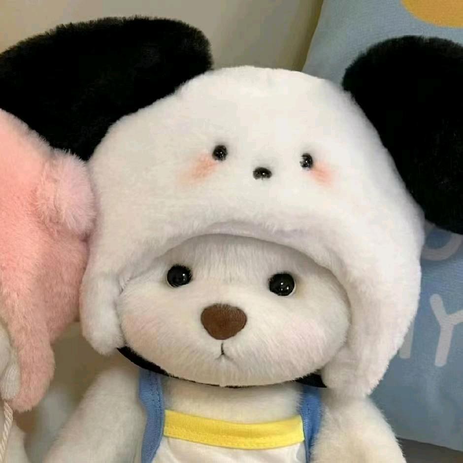 Mr.hui