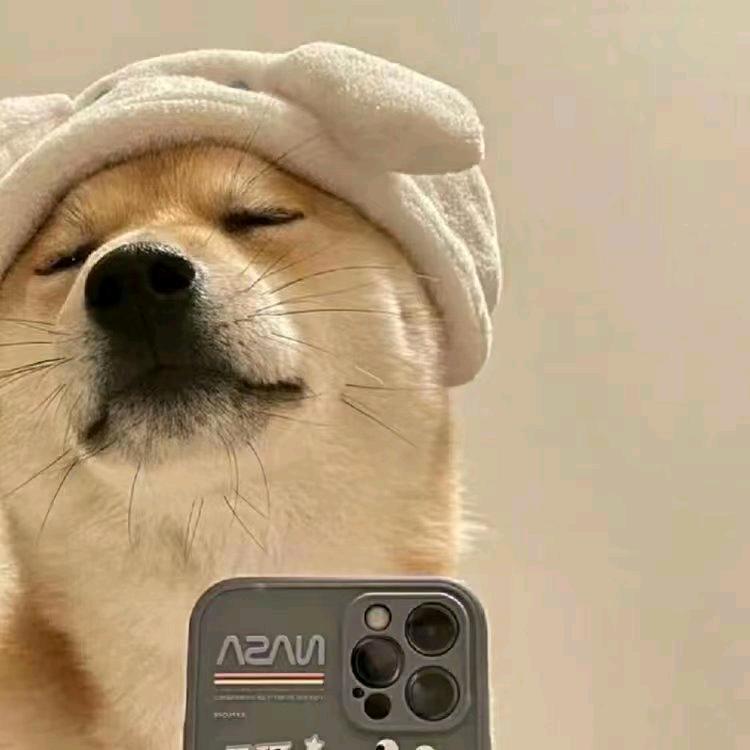 忆搁浅👑