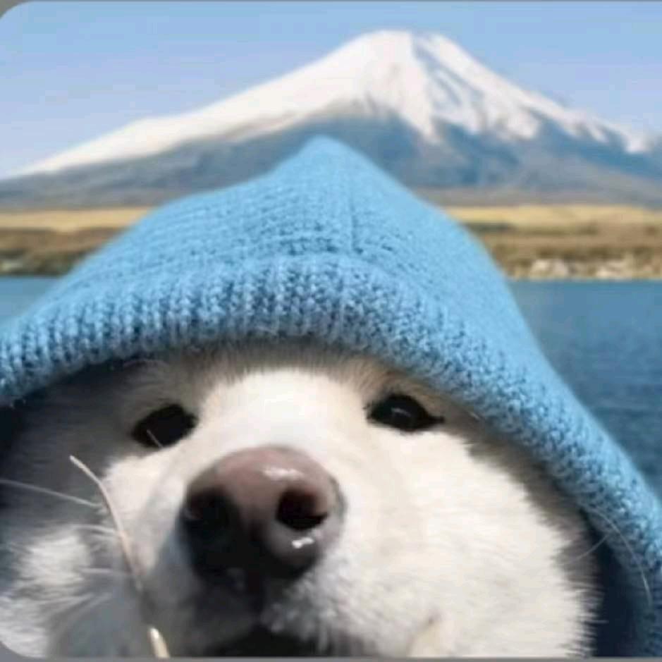 🌈🌈🌈🌈懒病原体