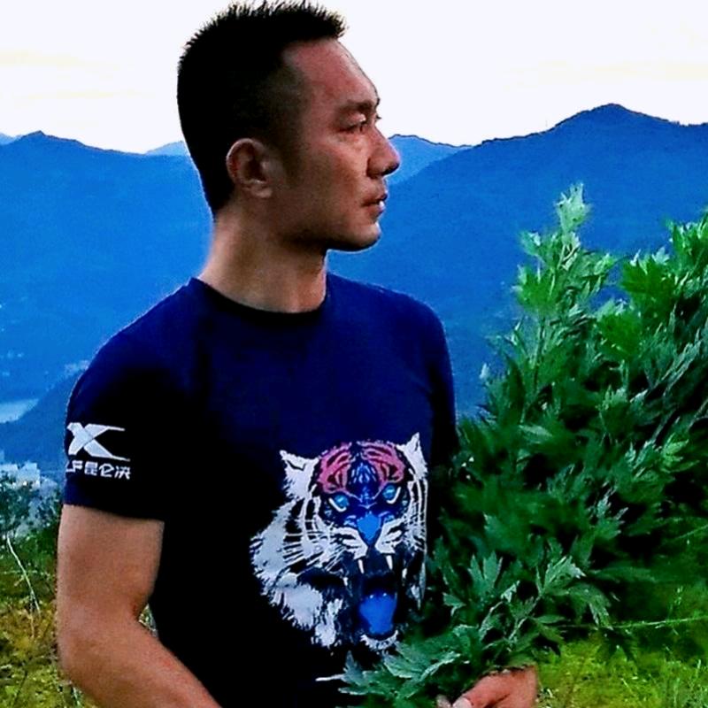 风哥
