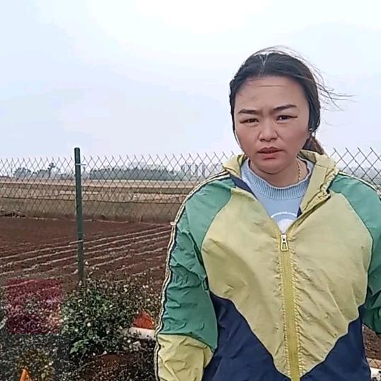 红头a