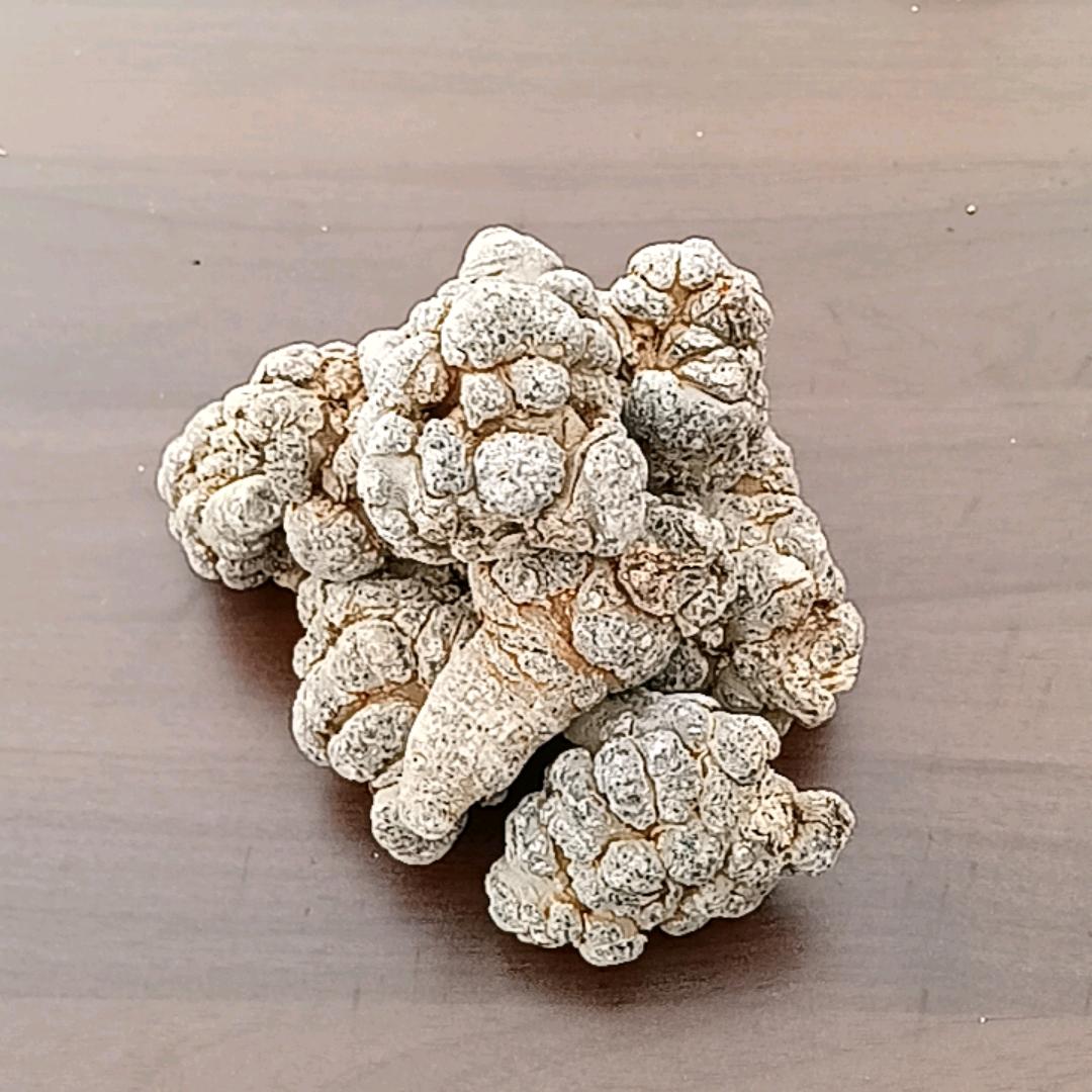 素问草本坊