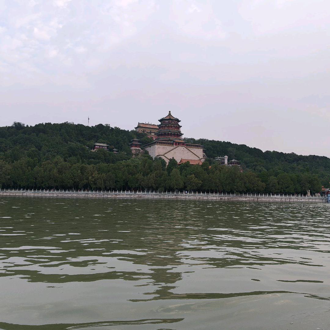 大萍