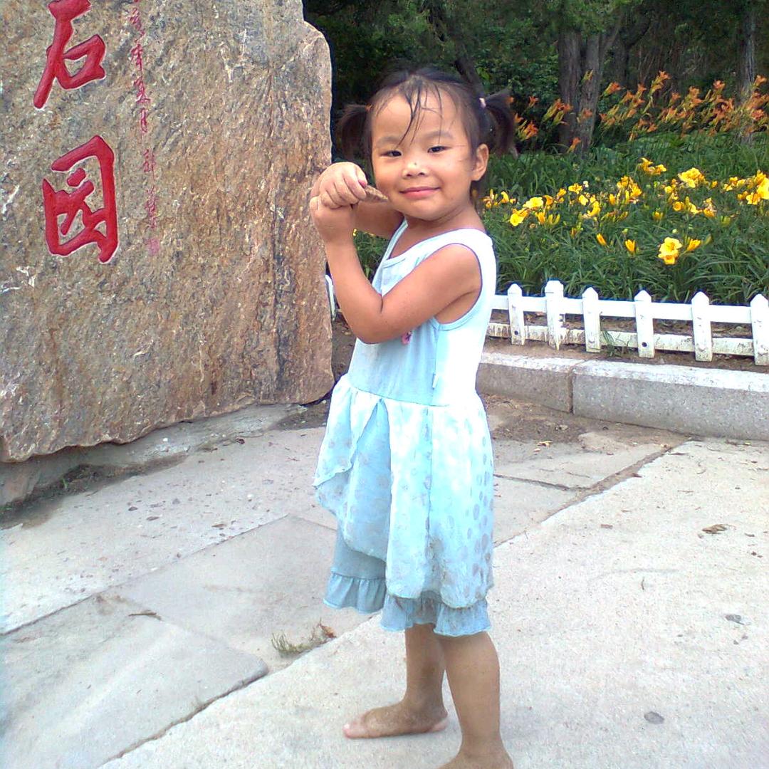 本来无一物，何处惹尘埃