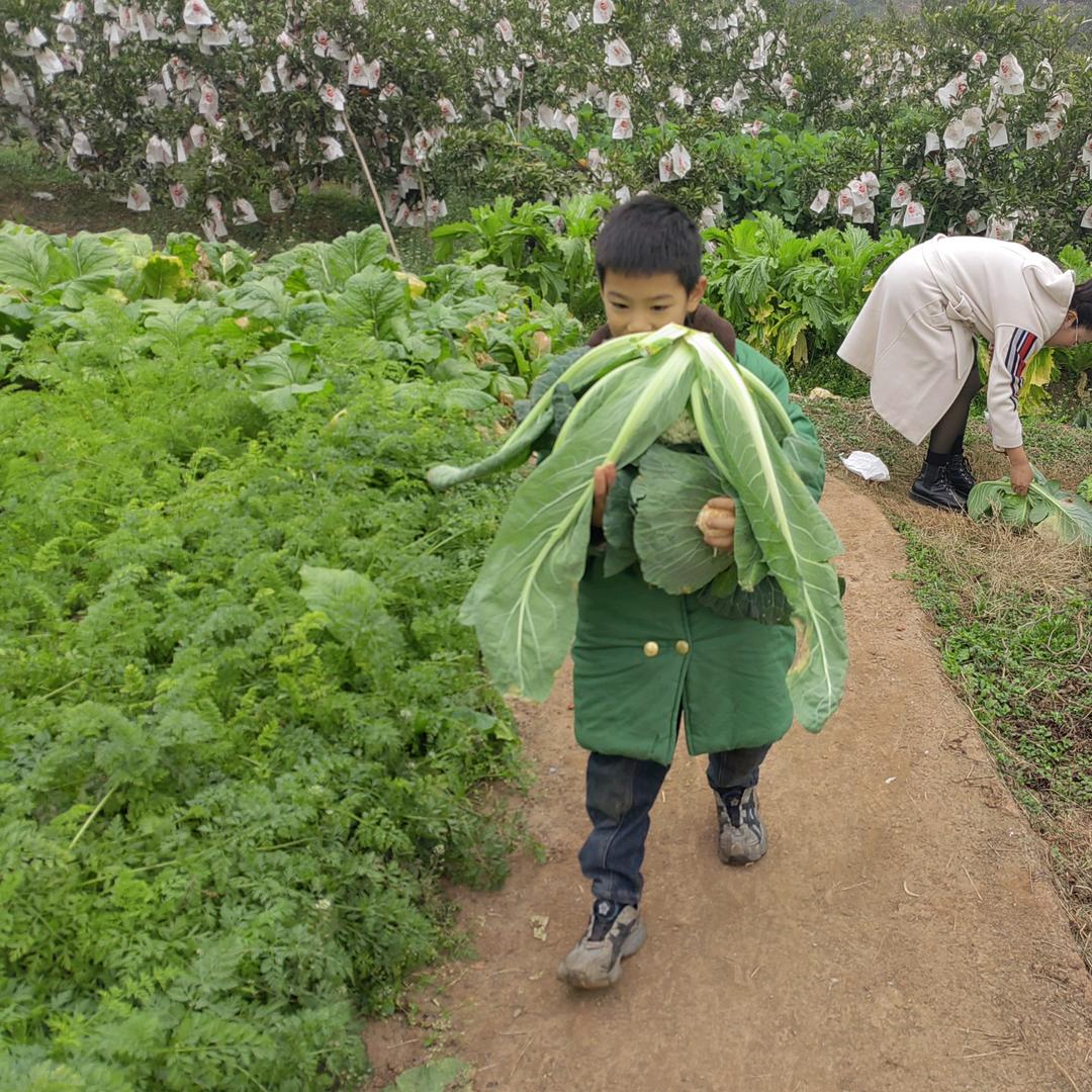 ღ胖头鱼⁵²ºꦽ