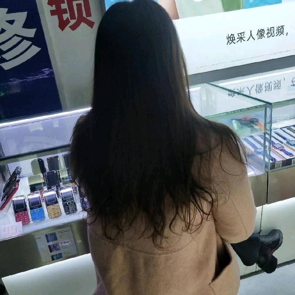 湖边寻柳
