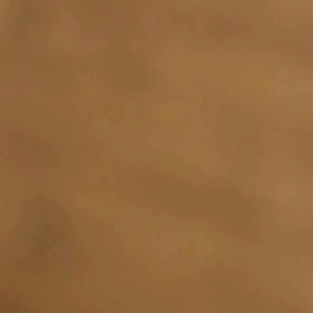 大熊