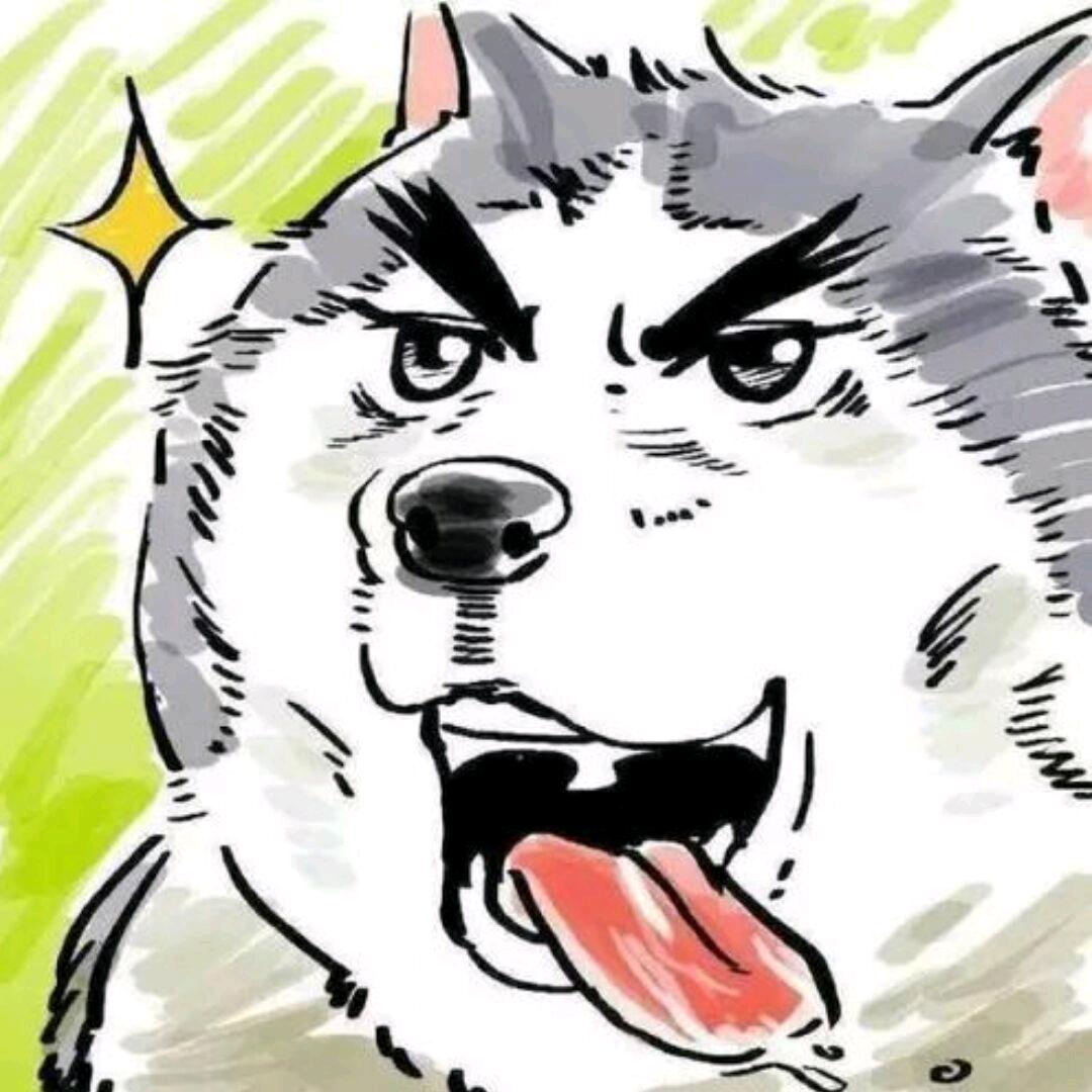 狗子玩家鸭（恩师橙子）