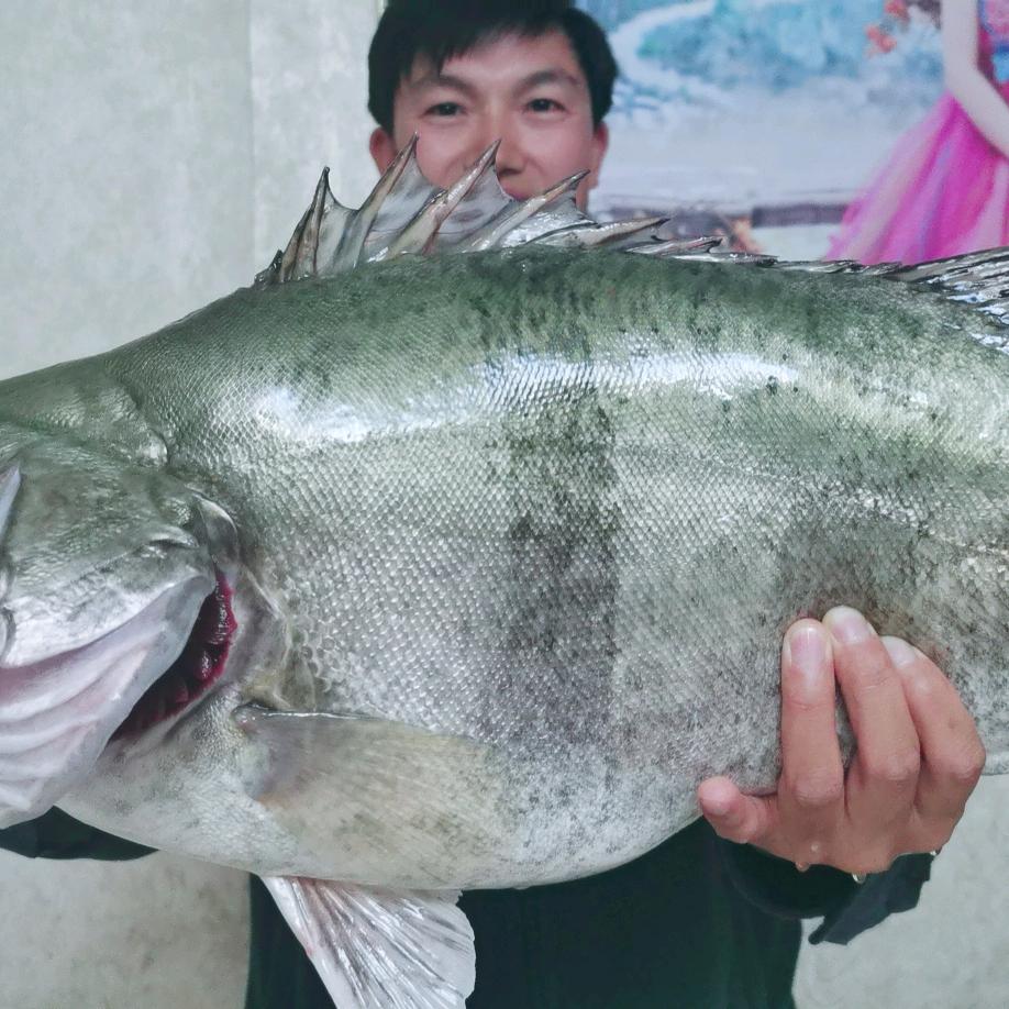 路亚不过斤