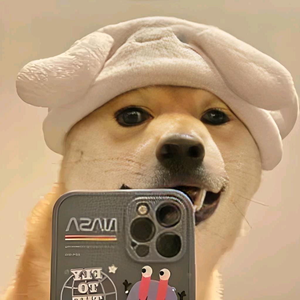 大票