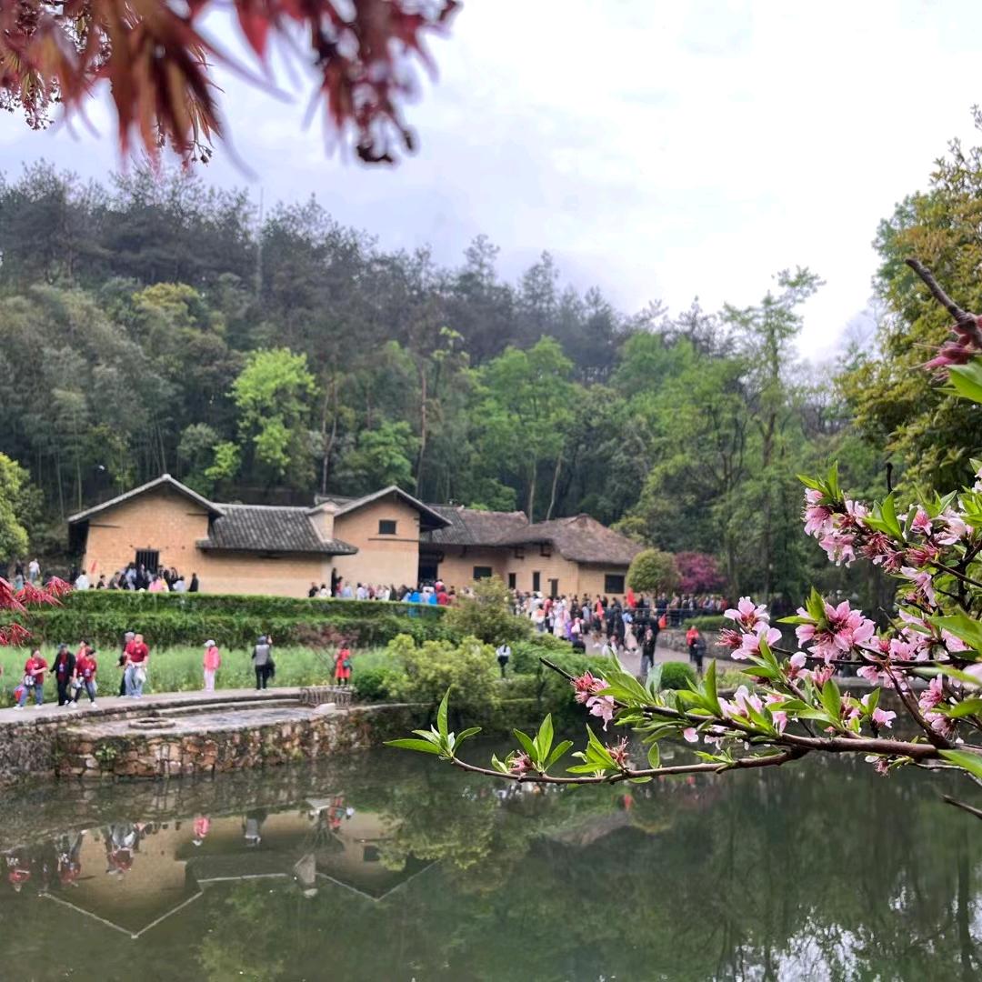 韶山旅游小胡