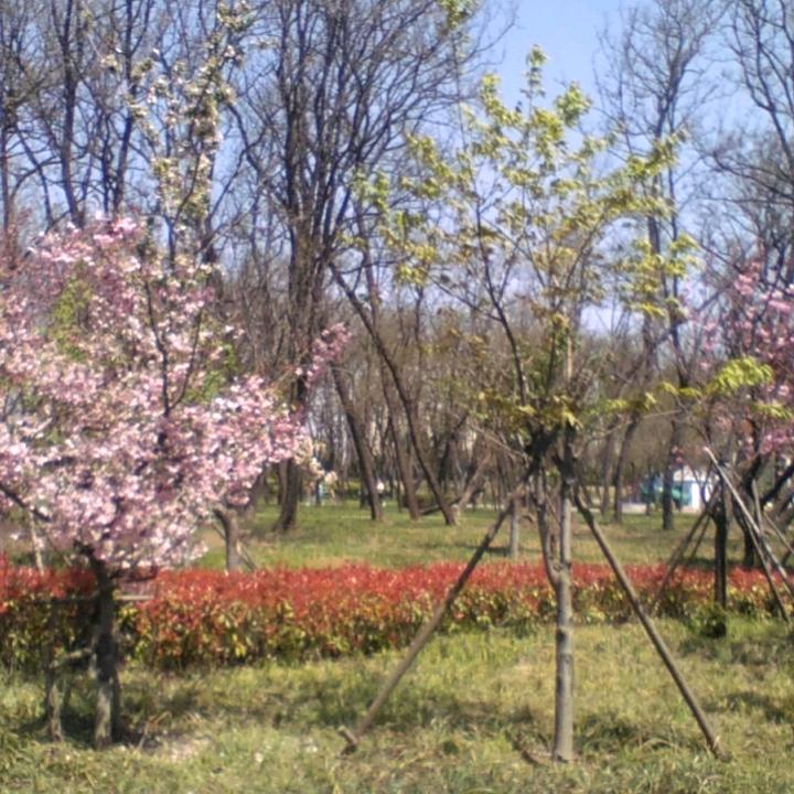 盼望