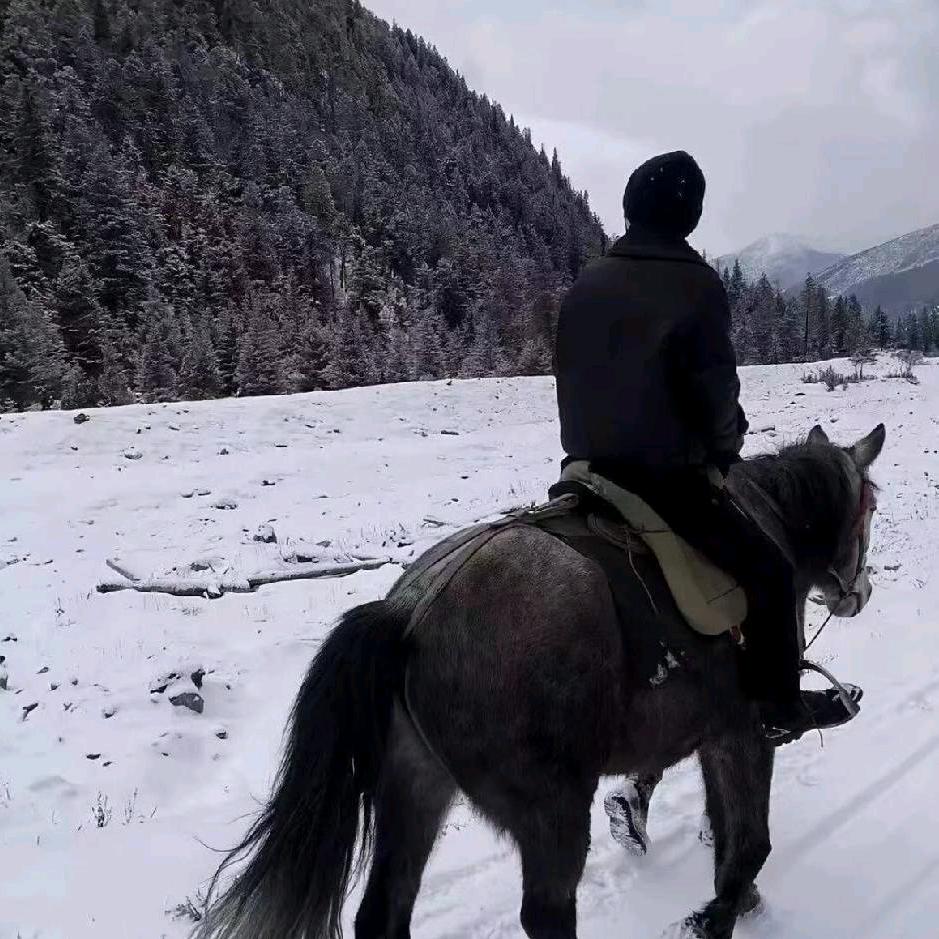 高寒.