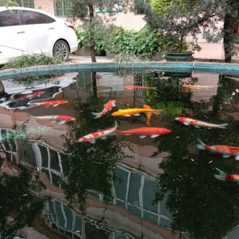 🍀💍🆗平安幸福🍀💍🆗