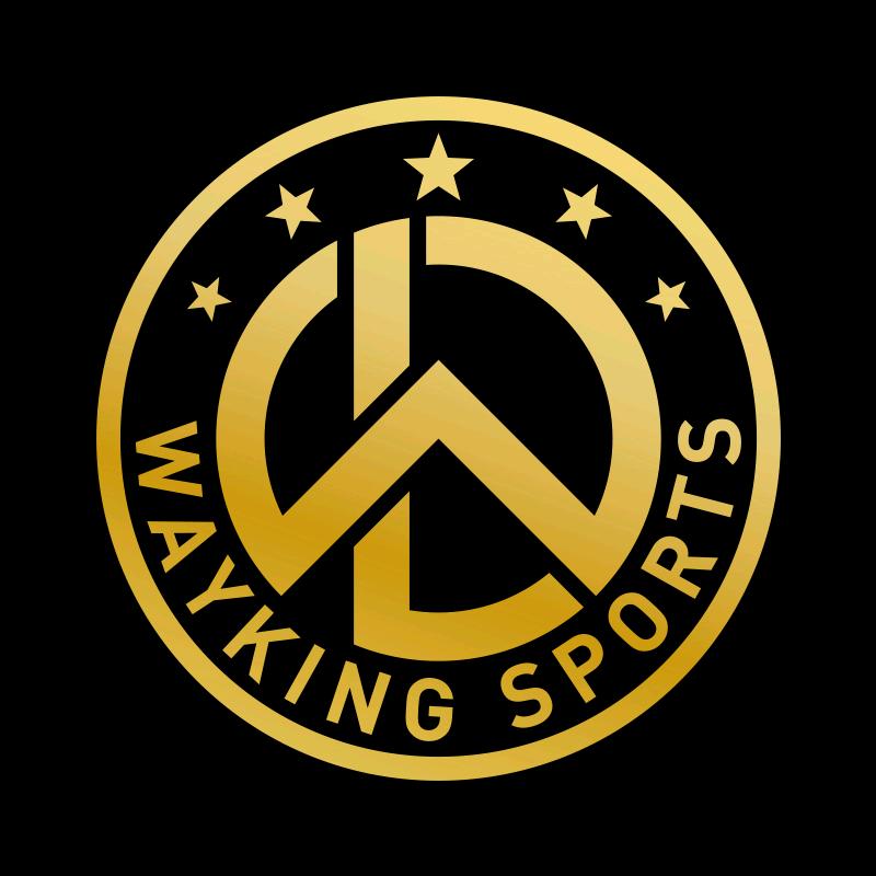 Wayking路王路亚