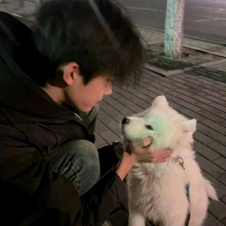 是丁不是叮（8月24开学版）