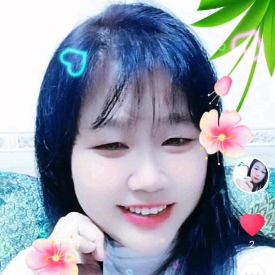 山上雪莲花