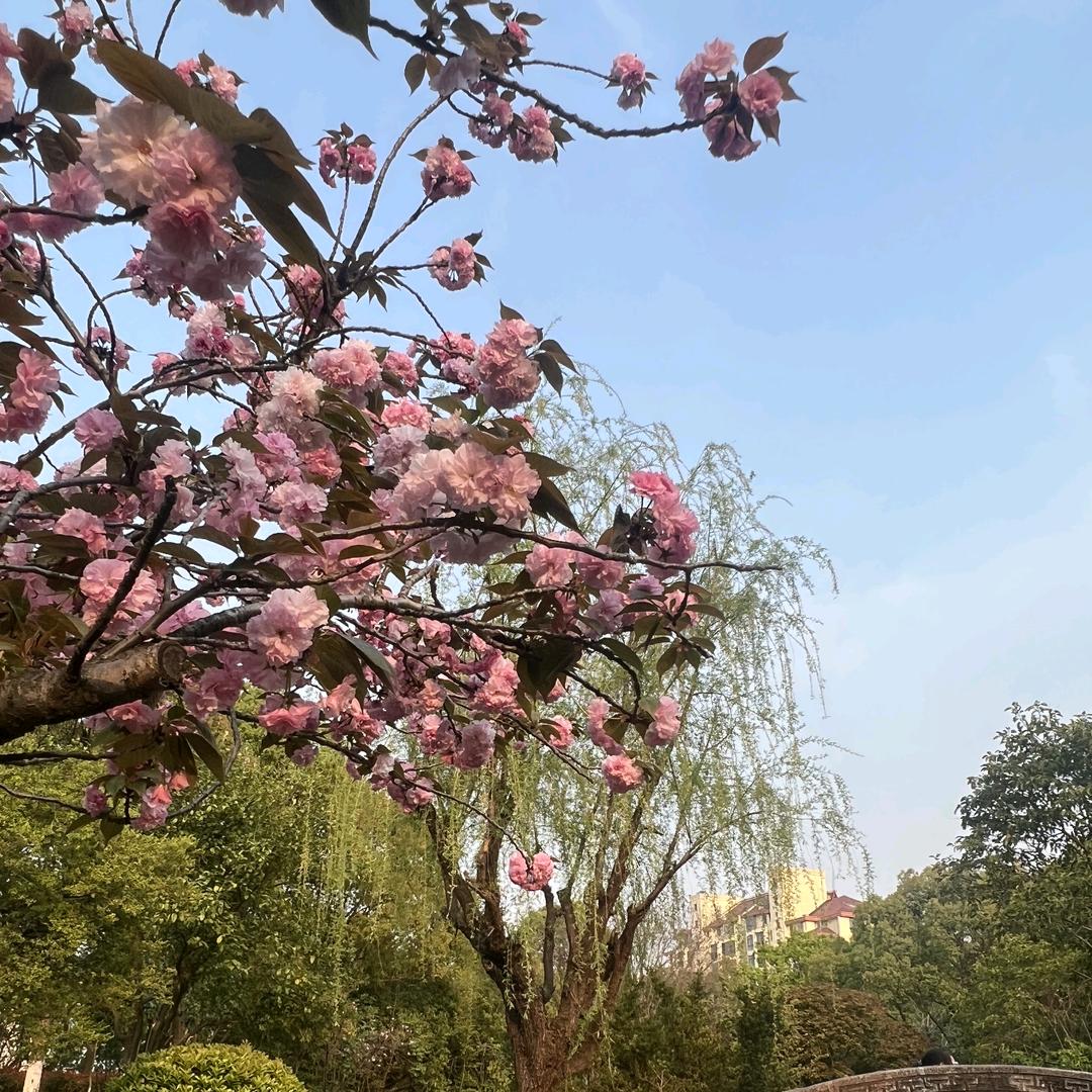 木乐～