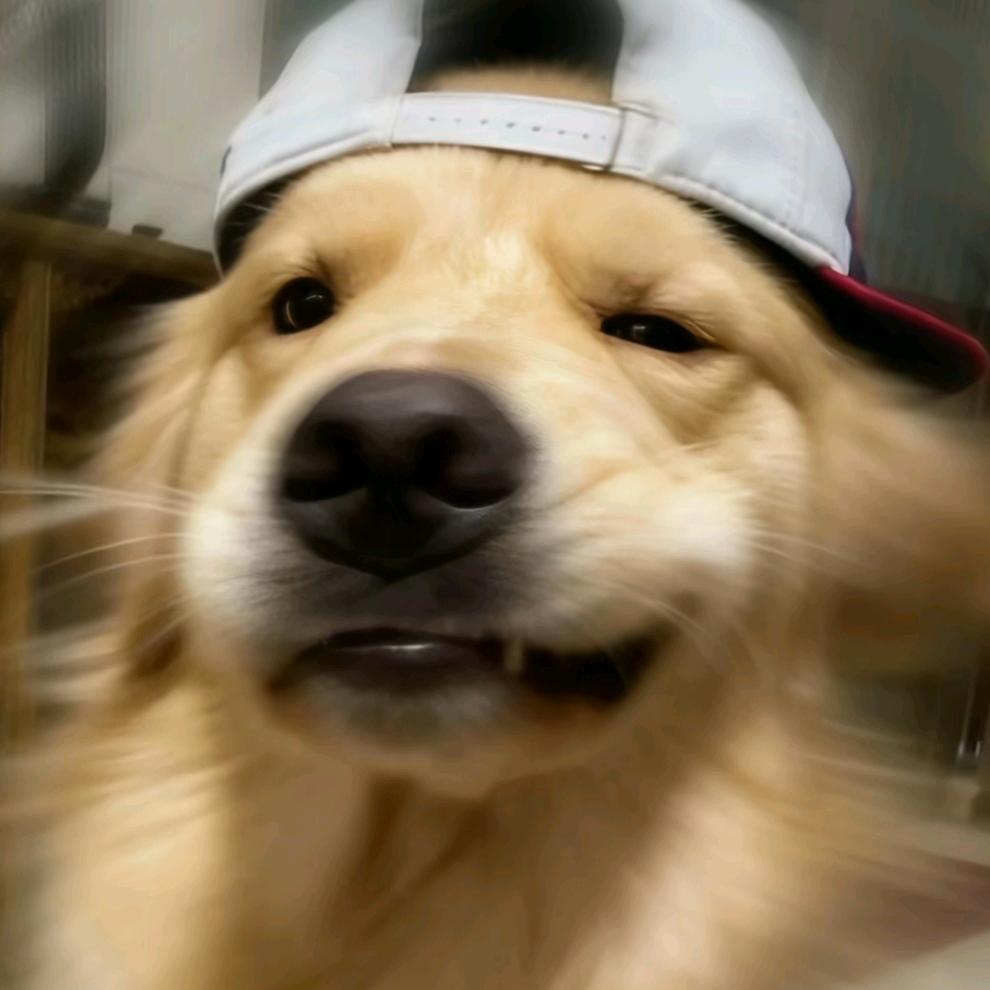 梨子
