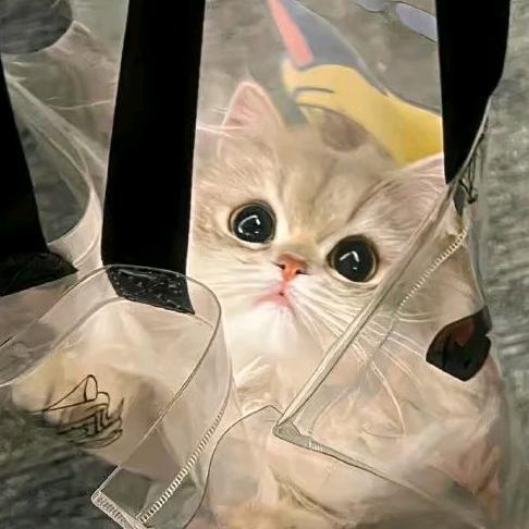 咪1（买猫后台丝我）