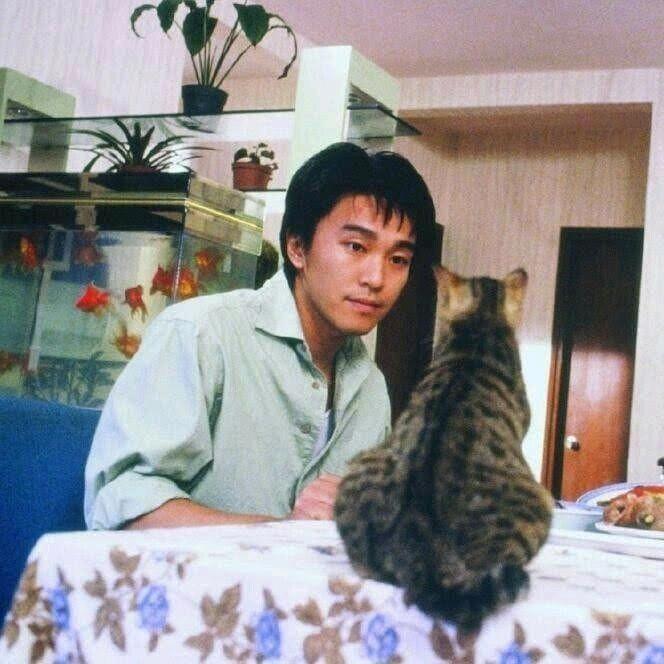 绿青菊头像