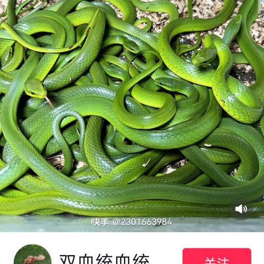 莽山漂流已在找伙食路费准备近厂