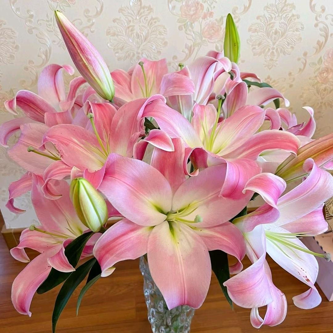 百合大王