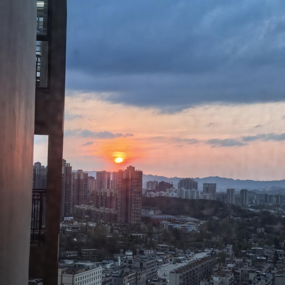不会游泳的鱼