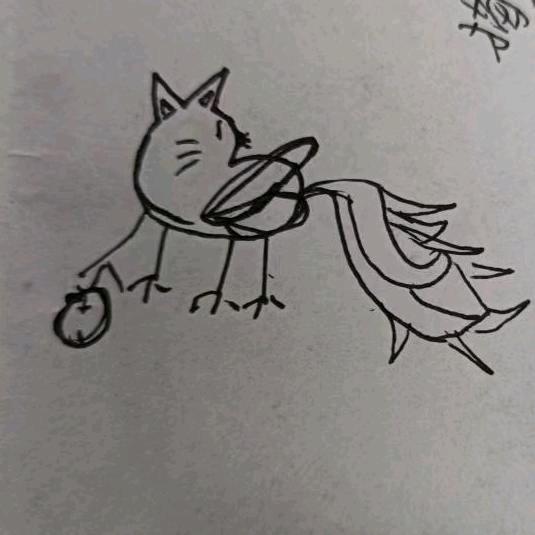 猫尾蜻